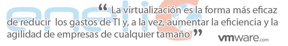 virtualización reduce gastos TI - ENETIC vmware partner en Valencia