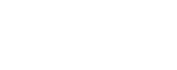 dell dell